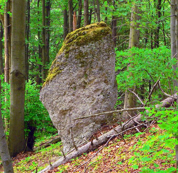 prechadzka-z-rajca-priamo-na-sever-az-k-vahu