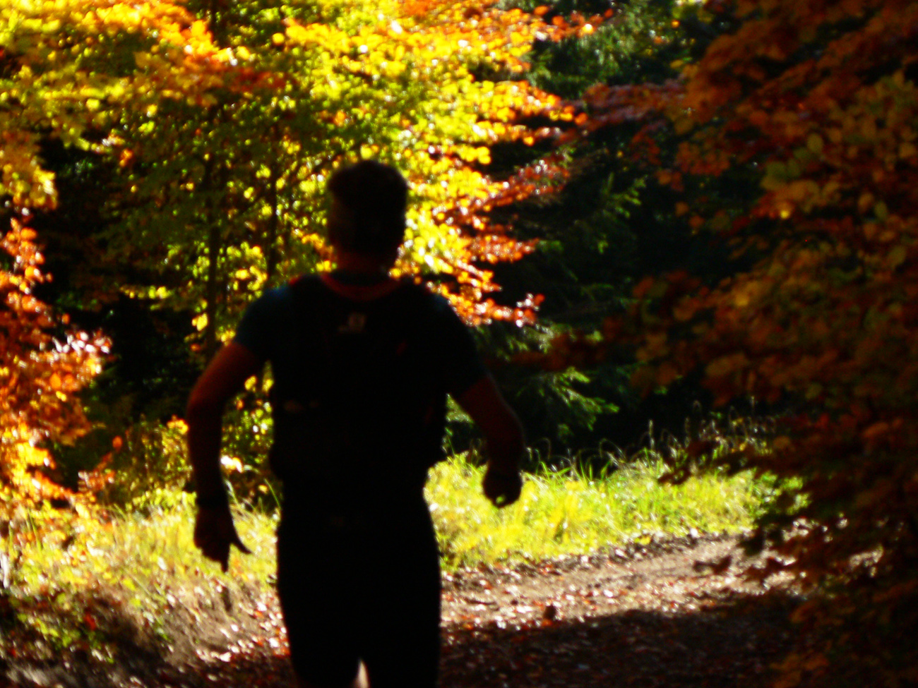 javornicka-stovka-2018-bola-neskutocne-farebna