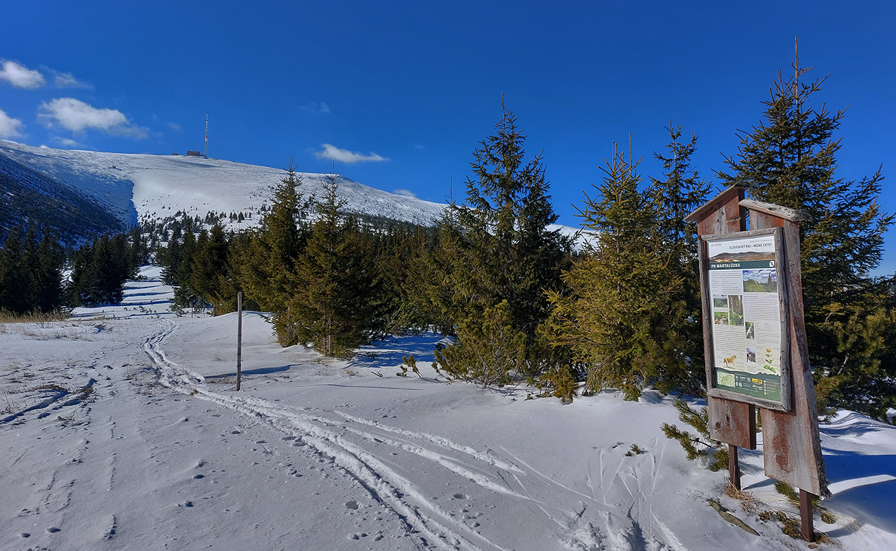 Od_náučného_panela_už_vidno_dobre_hranu_žliabku,_kade_zlyžujem_nazad.