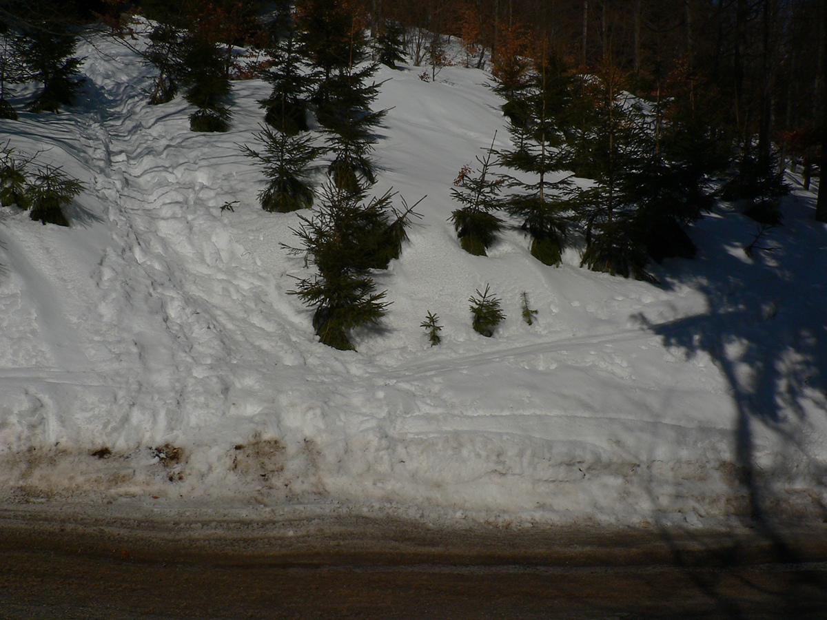 Lepšie_je_preskočiť_cez_cestu_do_stôp:_rovno_hore_pešia,_doprava_lyžia._Obe_tvrdé.