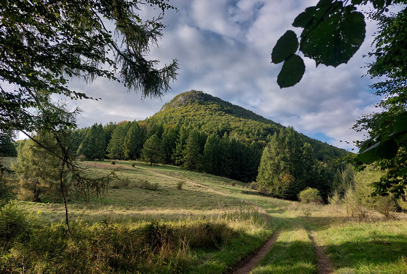 Niektorí_to_hore_brali_priamo...