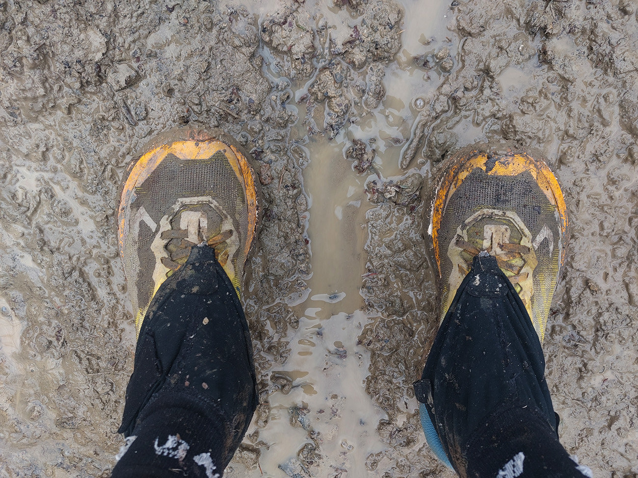 liecive-bahno-velkofatranske